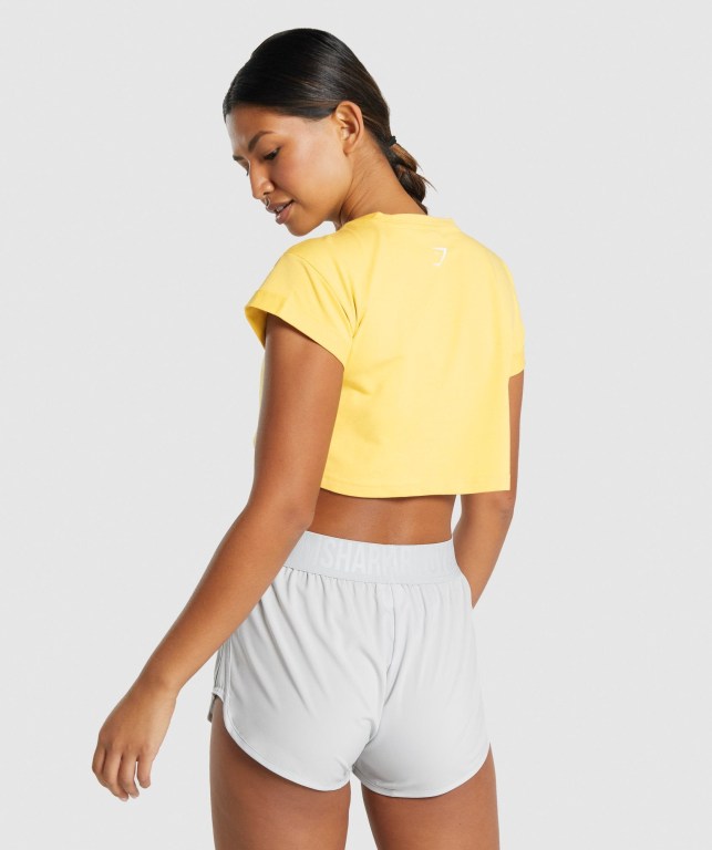 Camiseta Gymshark Animal Graphic Infill Crop Amarillo | 9rZELD3UXKi