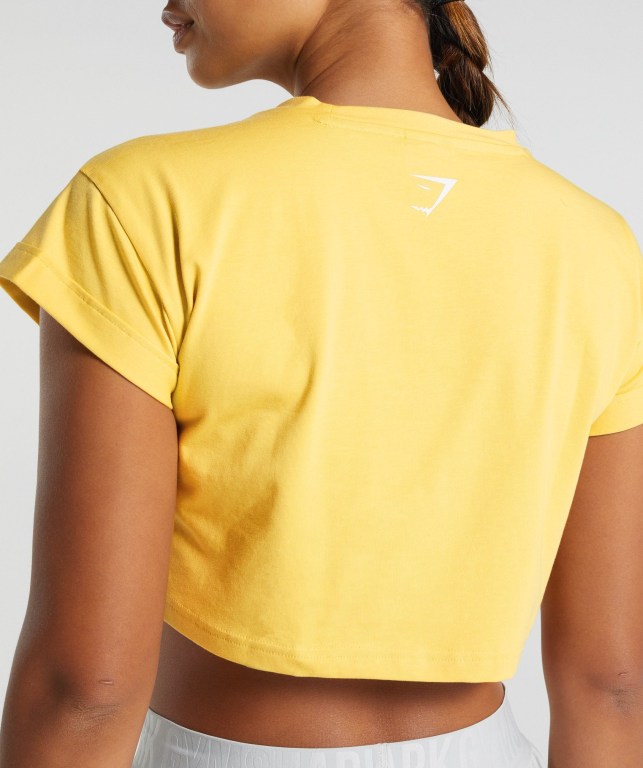 Camiseta Gymshark Animal Graphic Infill Crop Amarillo | 9rZELD3UXKi