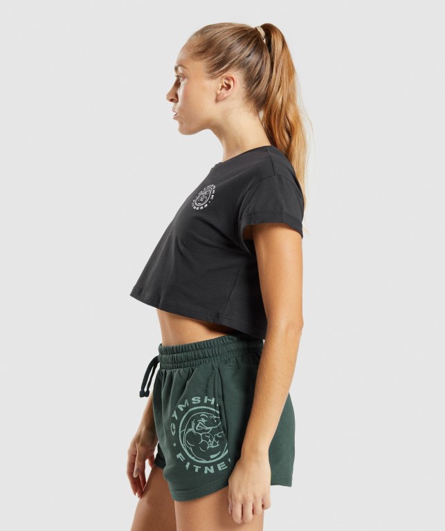 Camiseta Gymshark Legacy Graphic Crop Negras | nXQ6hugdXbn