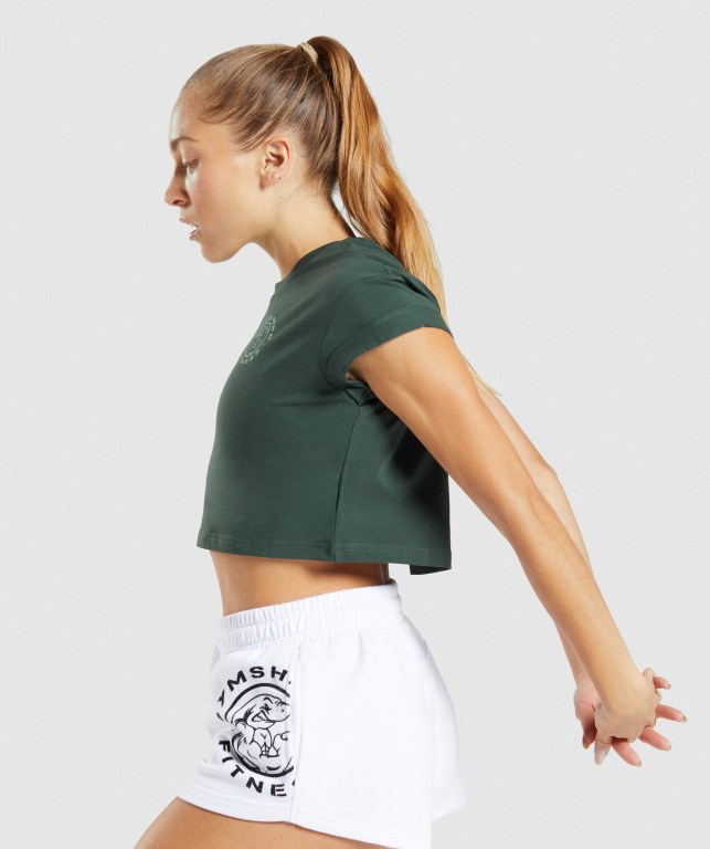 Camiseta Gymshark Legacy Graphic Crop Verde Oscuro | zVwUSQ9us3e