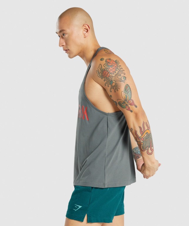 Chalecos Gymshark Power Gris | ekQz9uhS3mE