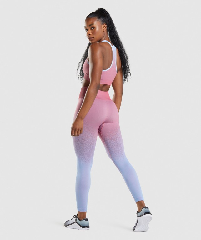 Leggins Gymshark Adapt Ombre Seamless Rosas Rosas Azules Claro | S79CR3X3dtD