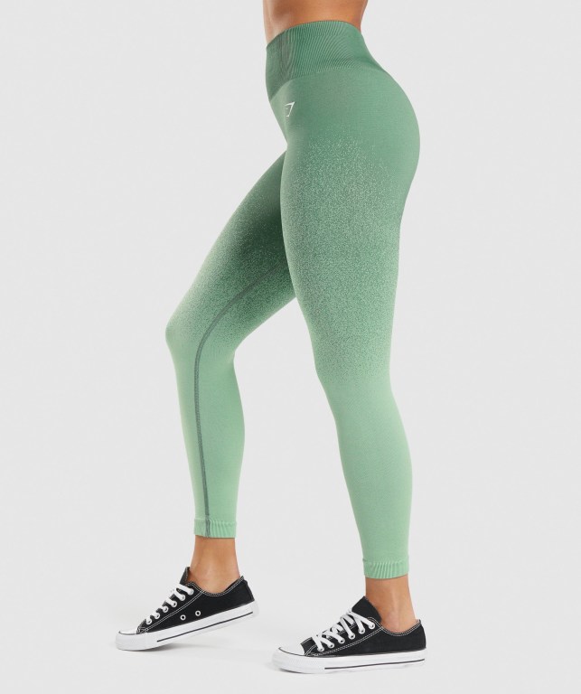 Leggins Gymshark Adapt Ombre Seamless Verde Verde Claro | 1WzwCyQbfyK