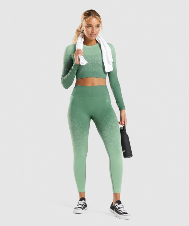 Leggins Gymshark Adapt Ombre Seamless Verde Verde Claro | 1WzwCyQbfyK