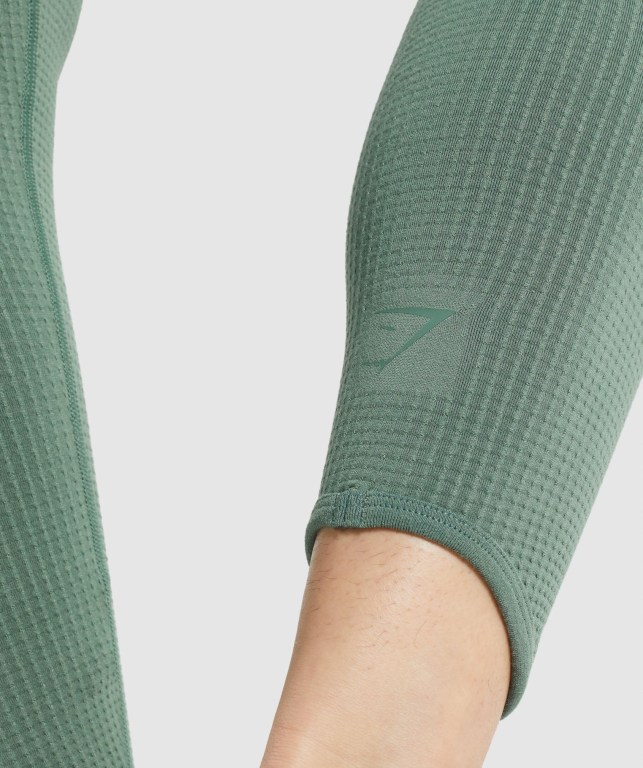 Leggins Gymshark Pause Seamless Verde | rlNLJlPf7Qv