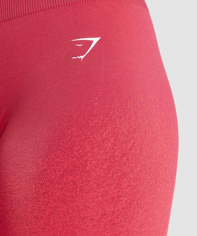 Pantalones Cortos Gymshark Adapt Ombre Seamless Cycling Rosas Rojas | 3iTEQH87aTU