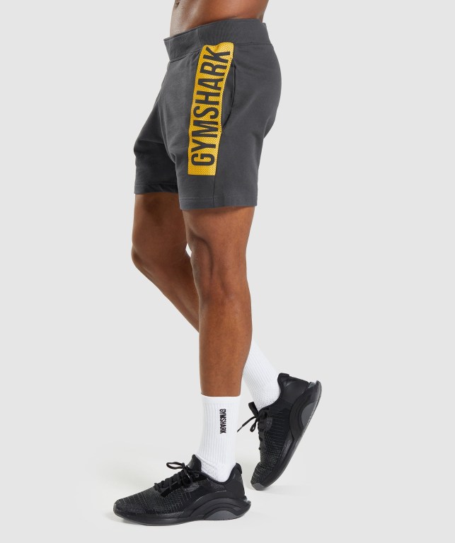 Pantalones Cortos Gymshark Bold Negras Gris | dCrKJozh9l5