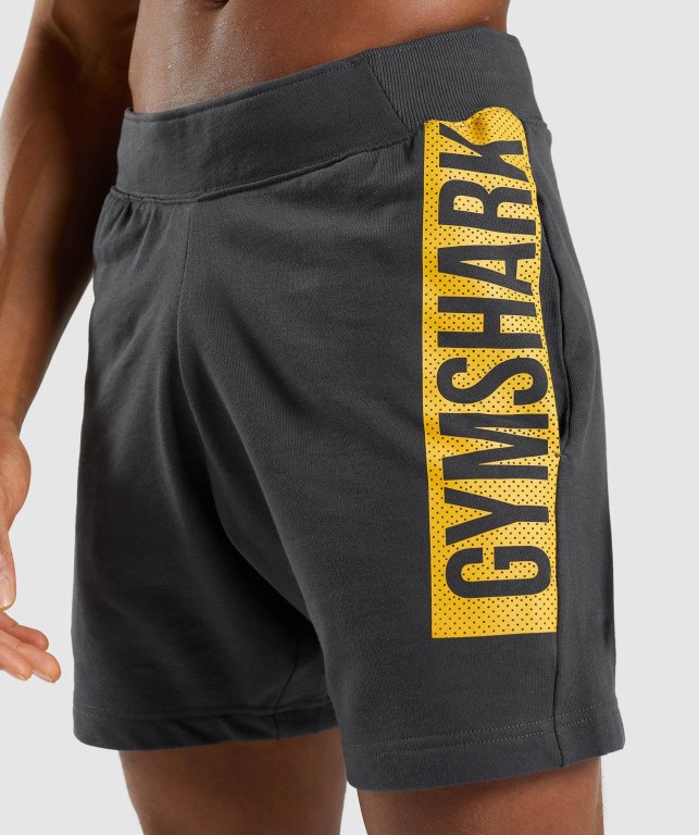 Pantalones Cortos Gymshark Bold Negras Gris | dCrKJozh9l5