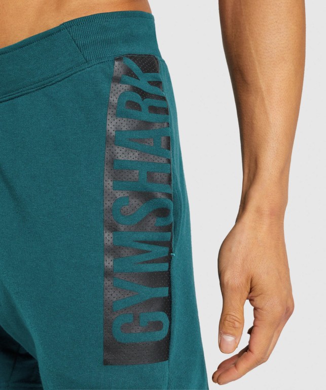 Pantalones Cortos Gymshark Bold Turquesa | L8MrzLoA2Fd