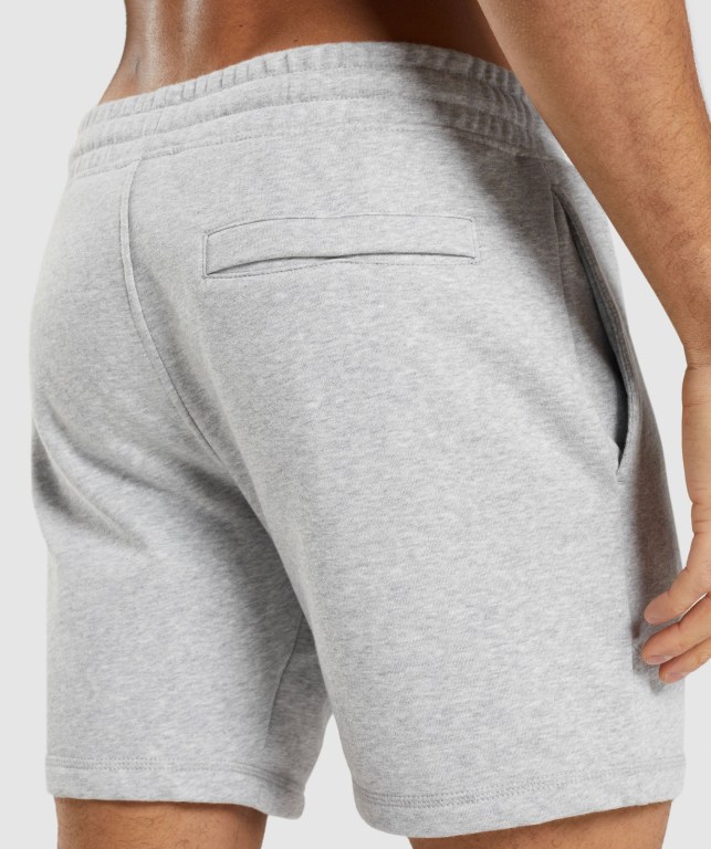 Pantalones Cortos Gymshark Crest Gris Claro | NjAJF4UaCFw