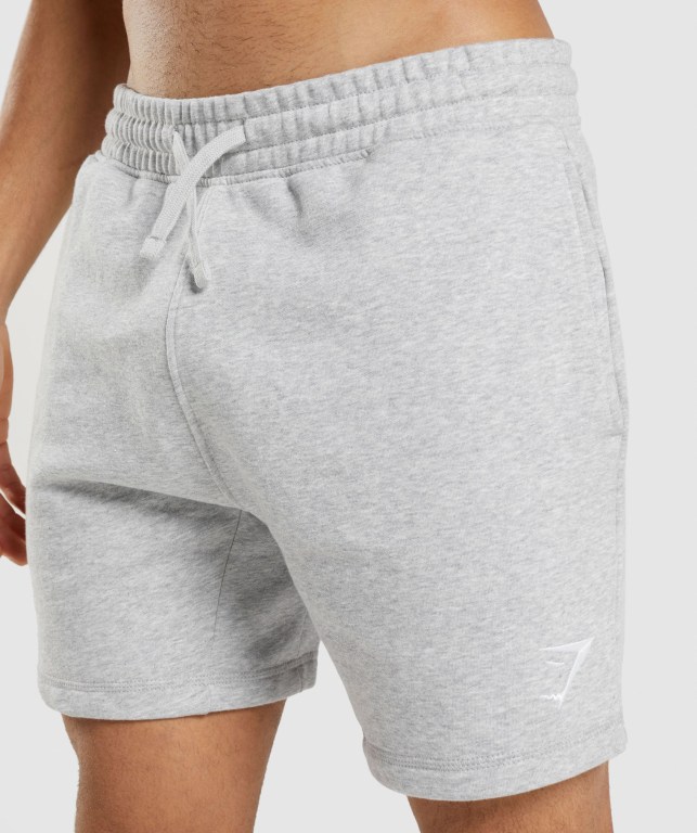 Pantalones Cortos Gymshark Crest Gris Claro | NjAJF4UaCFw