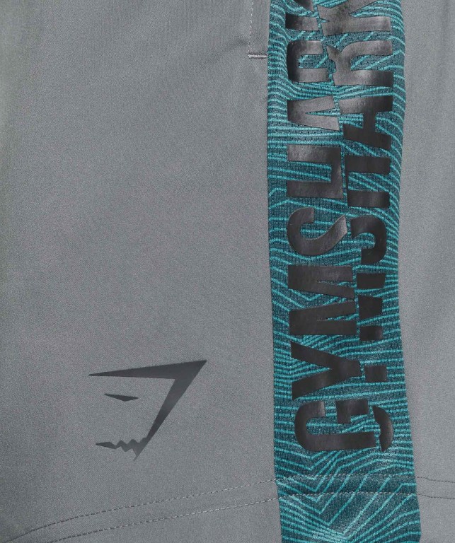 Pantalones Cortos Gymshark Graphic Deporte Gris | C3gvgDKeBeg