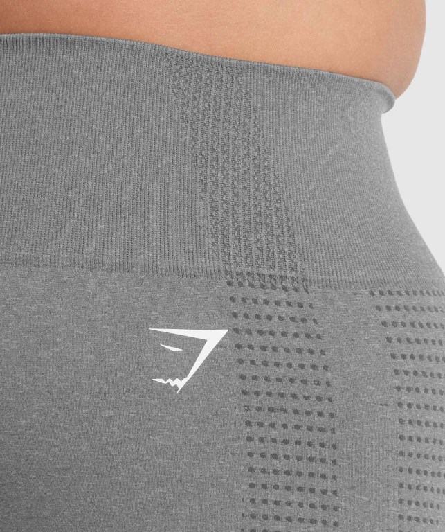 Pantalones Cortos Gymshark Vital Seamless 2.0 Gris | 8RUFwFyipxe