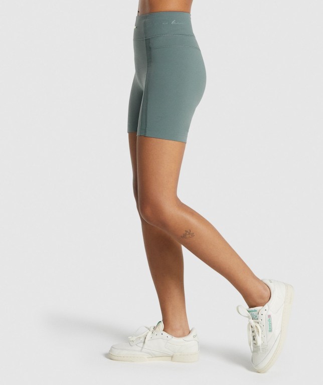 Pantalones Cortos Gymshark Whitney Mesh Verde | 9u7cyyvEZmA