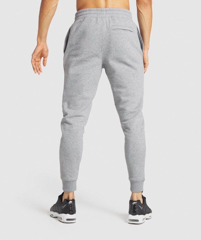 Pantalones Jogger Gymshark Crest Gris | aW54oySBenF