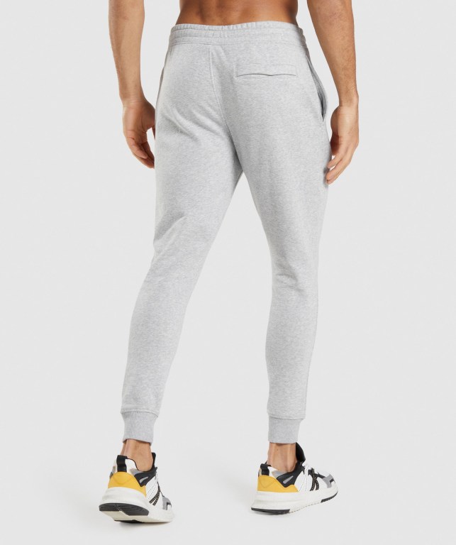 Pantalones Jogger Gymshark Crest Gris Claro | yZGbFOBw51c