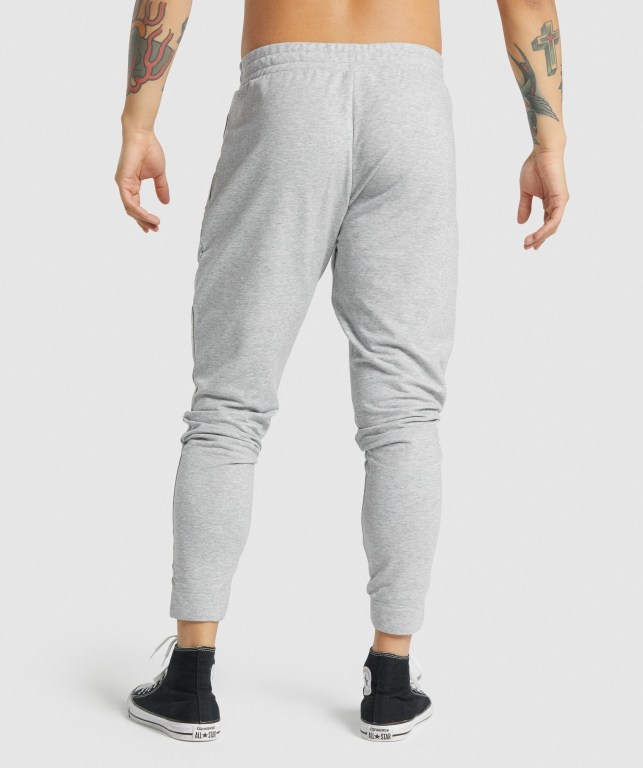 Pantalones Jogger Gymshark Critical 2.0 Gris Claro | 1ppEveHXfoT