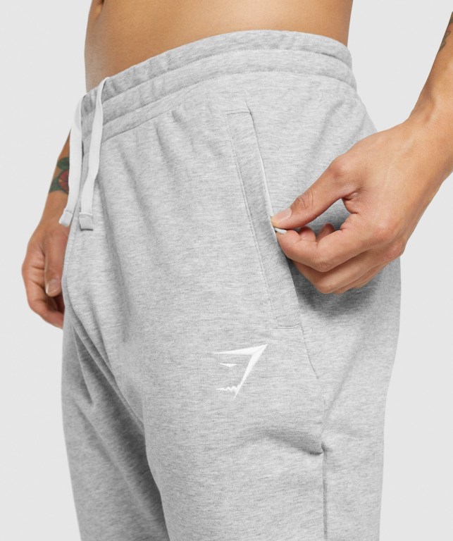 Pantalones Jogger Gymshark Critical 2.0 Gris Claro | 1ppEveHXfoT