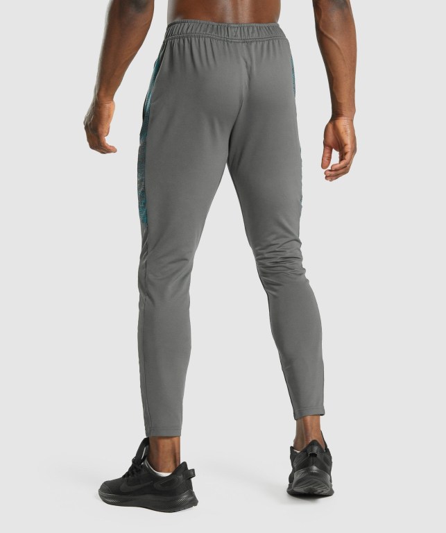 Pantalones Jogger Gymshark Deporte Gris | cT44NzLyLgi