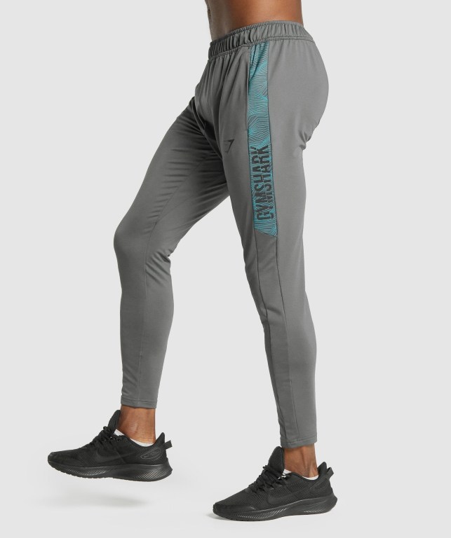 Pantalones Jogger Gymshark Deporte Gris | cT44NzLyLgi