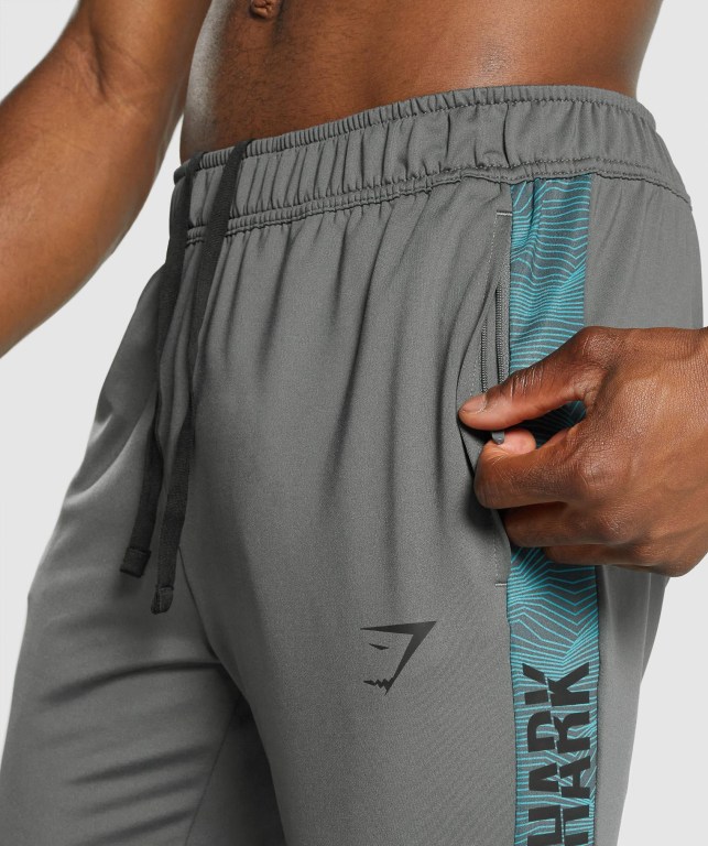 Pantalones Jogger Gymshark Deporte Gris | cT44NzLyLgi