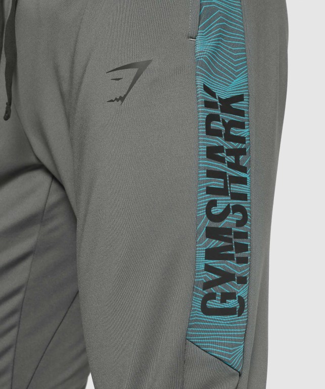 Pantalones Jogger Gymshark Deporte Gris | cT44NzLyLgi