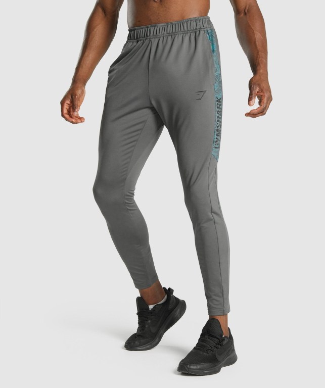 Pantalones Jogger Gymshark Deporte Gris | cT44NzLyLgi