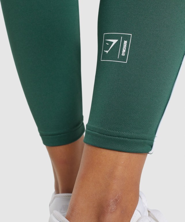 Pantalones Jogger Gymshark Recess Verde Oscuro | iwvauIJ59pZ