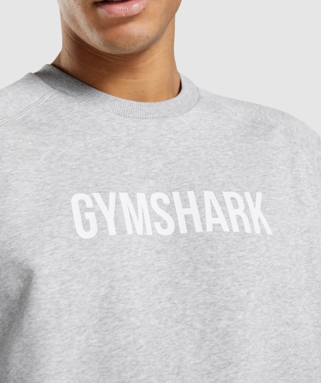 Pullover Gymshark Apollo Crew Gris Claro | bcS24EPzPMu