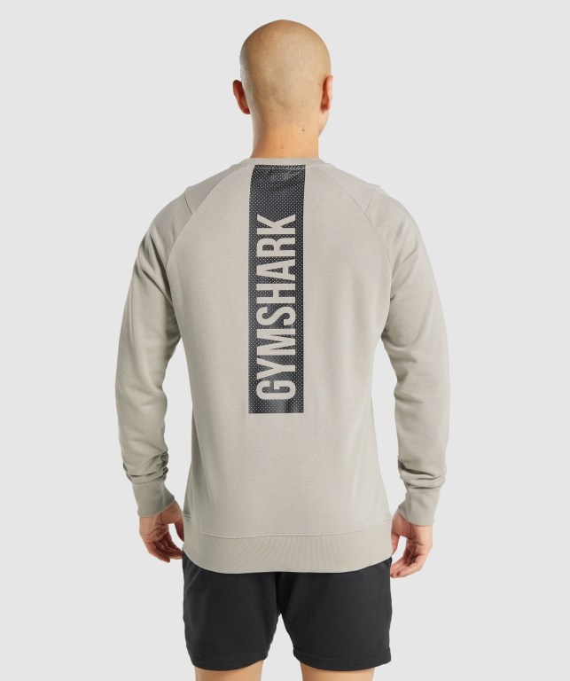 Pullover Gymshark Bold Crew Gris | EdKVKtNbIMm