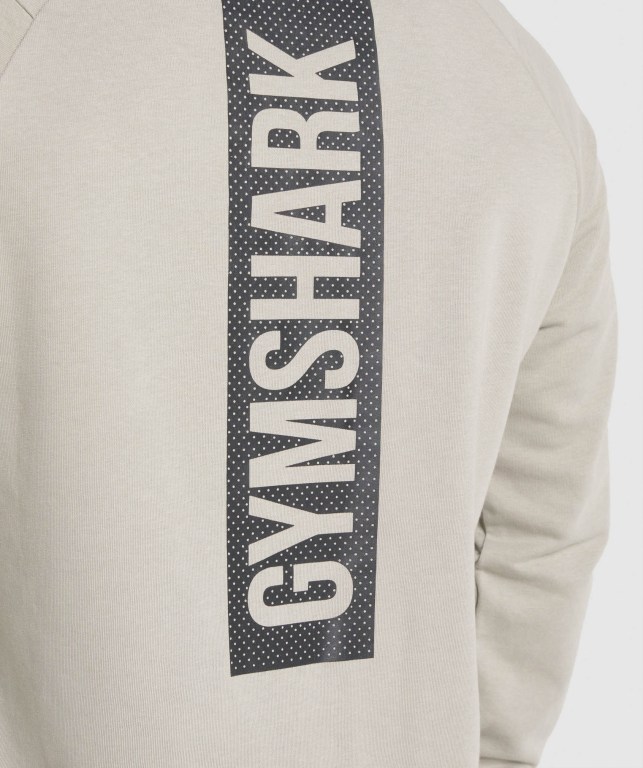 Pullover Gymshark Bold Crew Gris | EdKVKtNbIMm