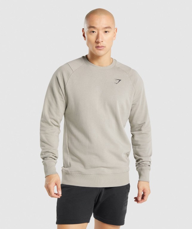 Pullover Gymshark Bold Crew Gris | EdKVKtNbIMm