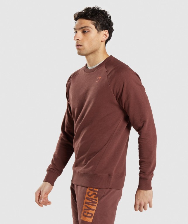 Pullover Gymshark Bold Crew Rosas Marrones | 5VH7MsLNoXc