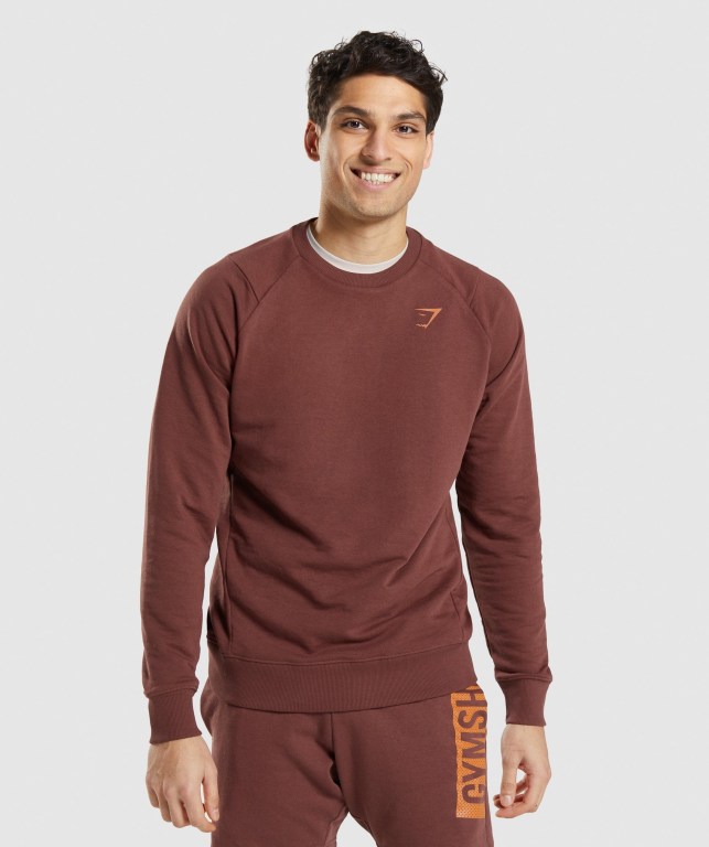 Pullover Gymshark Bold Crew Rosas Marrones | 5VH7MsLNoXc