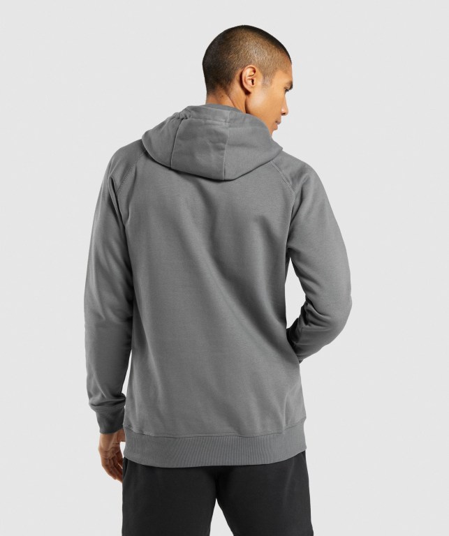 Pullover Gymshark Central Gris | zGUuik2MpMo