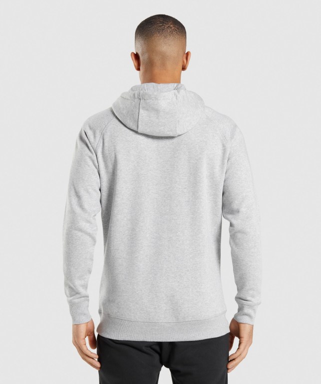 Pullover Gymshark Crest Gris Claro | VZwKiOYhi6y