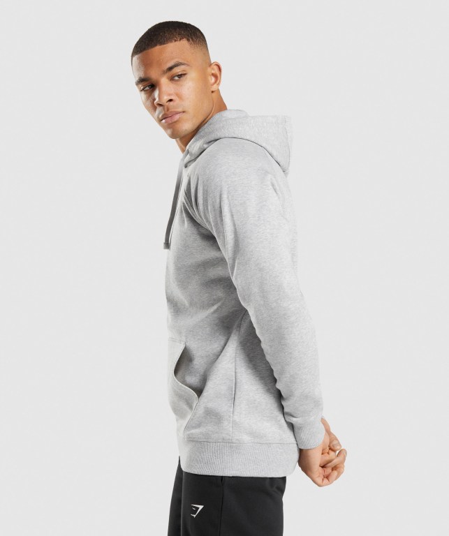 Pullover Gymshark Crest Gris Claro | VZwKiOYhi6y