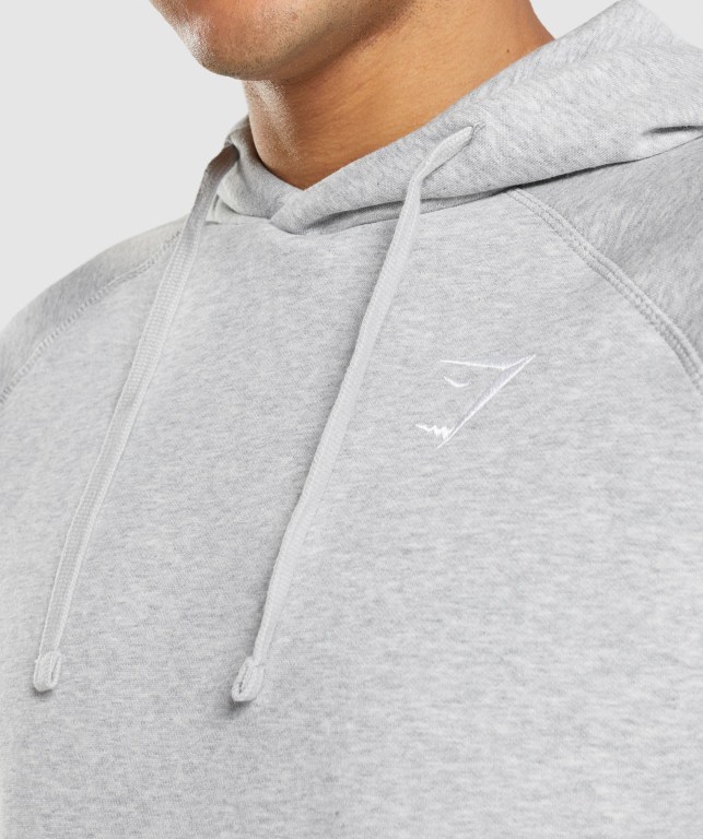 Pullover Gymshark Crest Gris Claro | VZwKiOYhi6y