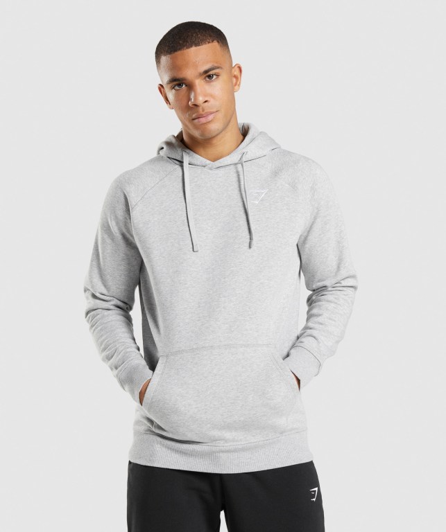 Pullover Gymshark Crest Gris Claro | VZwKiOYhi6y