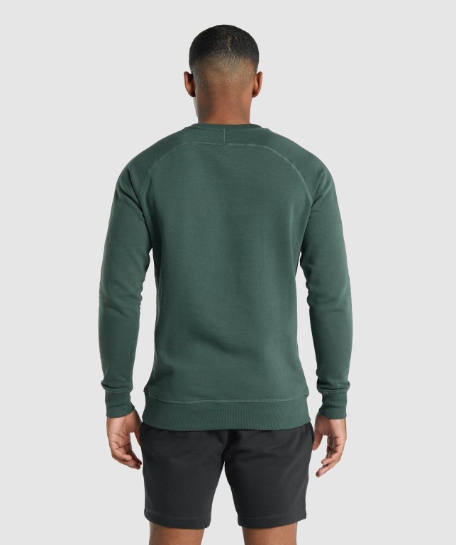 Pullover Gymshark Crest Sweatshirt Verde Oscuro | NeoDSYE2u2k