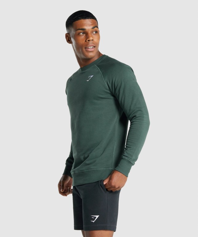 Pullover Gymshark Crest Sweatshirt Verde Oscuro | NeoDSYE2u2k