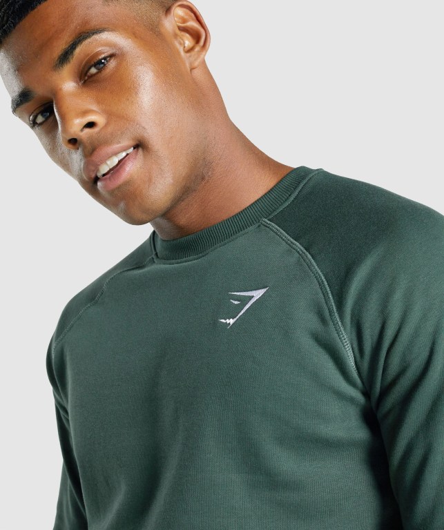 Pullover Gymshark Crest Sweatshirt Verde Oscuro | NeoDSYE2u2k