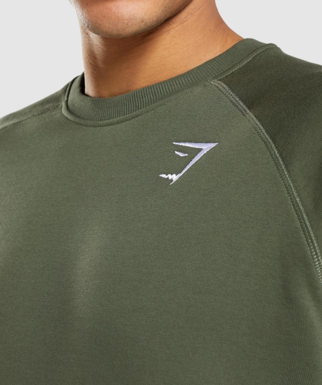 Pullover Gymshark Crest Sweatshirt Verde Oliva | lIzkCeS3Vyk