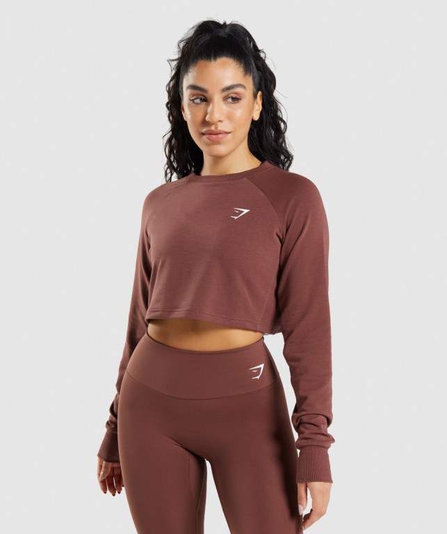 Pullover Gymshark Entrenamiento Cropped Sueter Rosas Marrones | 1u1BAh5PEuZ