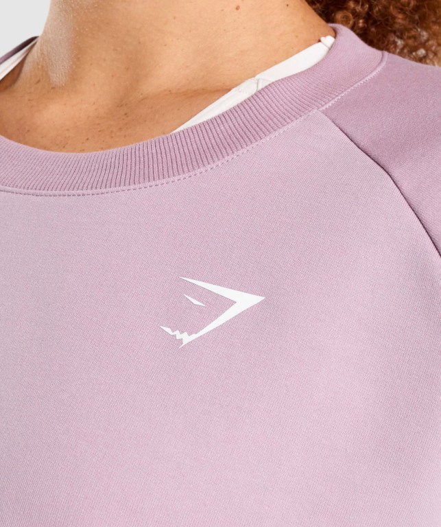 Pullover Gymshark Entrenamiento Cropped Sueter Moradas Claro | JA5RaNgq8E6