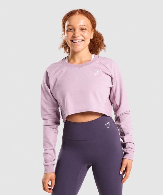 Pullover Gymshark Entrenamiento Cropped Sueter Moradas Claro | JA5RaNgq8E6