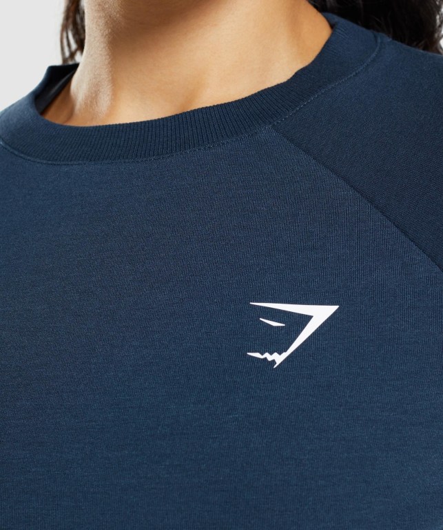 Pullover Gymshark Entrenamiento Cropped Sueter Azul Marino | YF2hHqAN7Vu