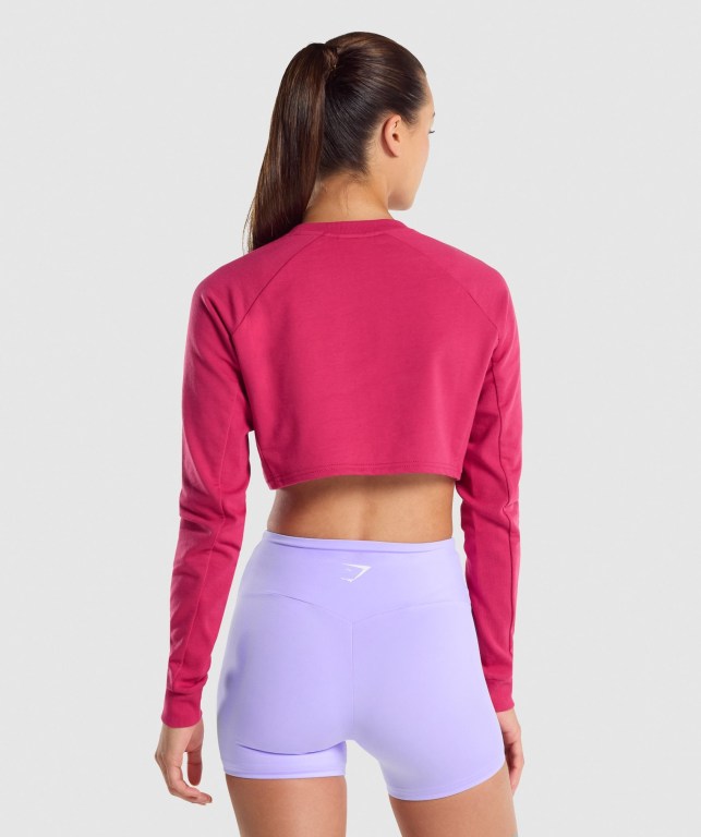 Pullover Gymshark Entrenamiento Cropped Sueter Rosas | ZMf4uzE2FGy