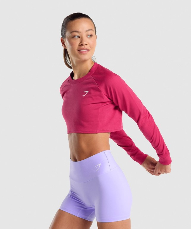 Pullover Gymshark Entrenamiento Cropped Sueter Rosas | ZMf4uzE2FGy