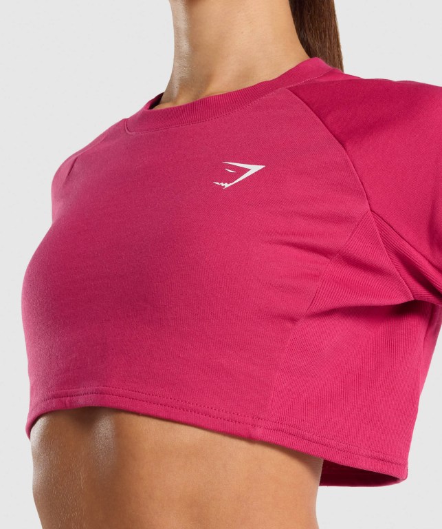 Pullover Gymshark Entrenamiento Cropped Sueter Rosas | ZMf4uzE2FGy